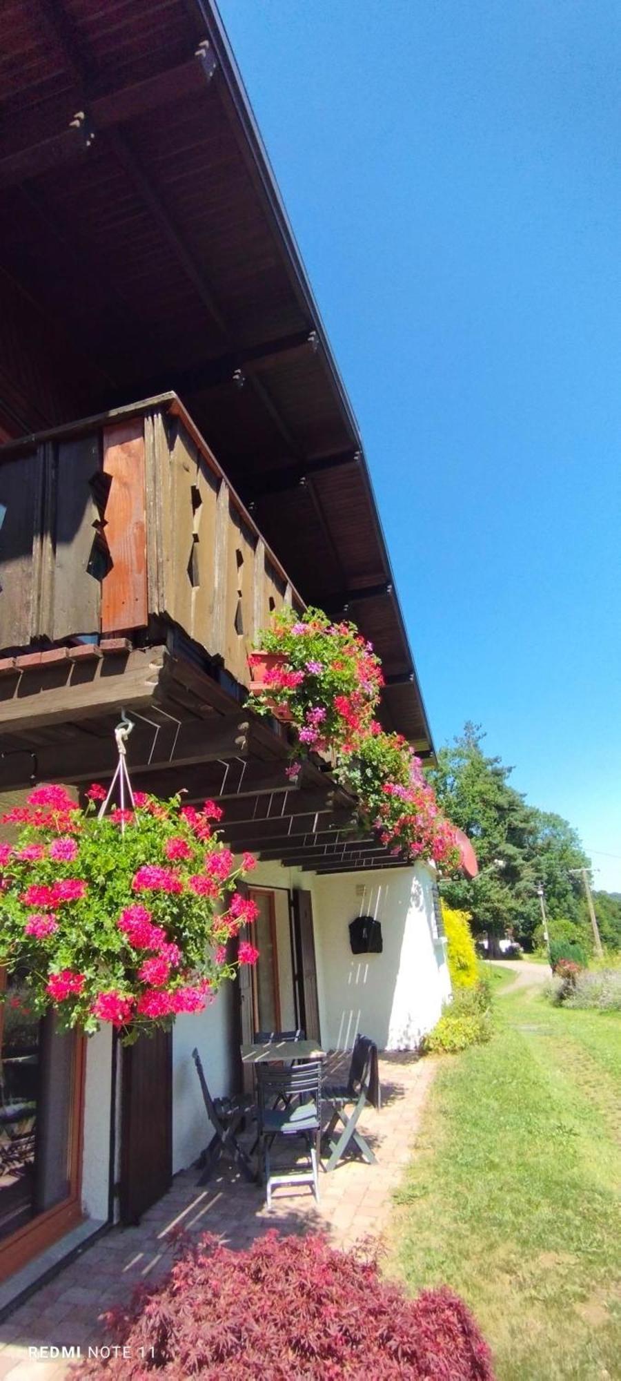 Chalet Au Bois Des Ecureuils Classe Trois Etoiles. Muhlbach-sur-Munster Exterior foto
